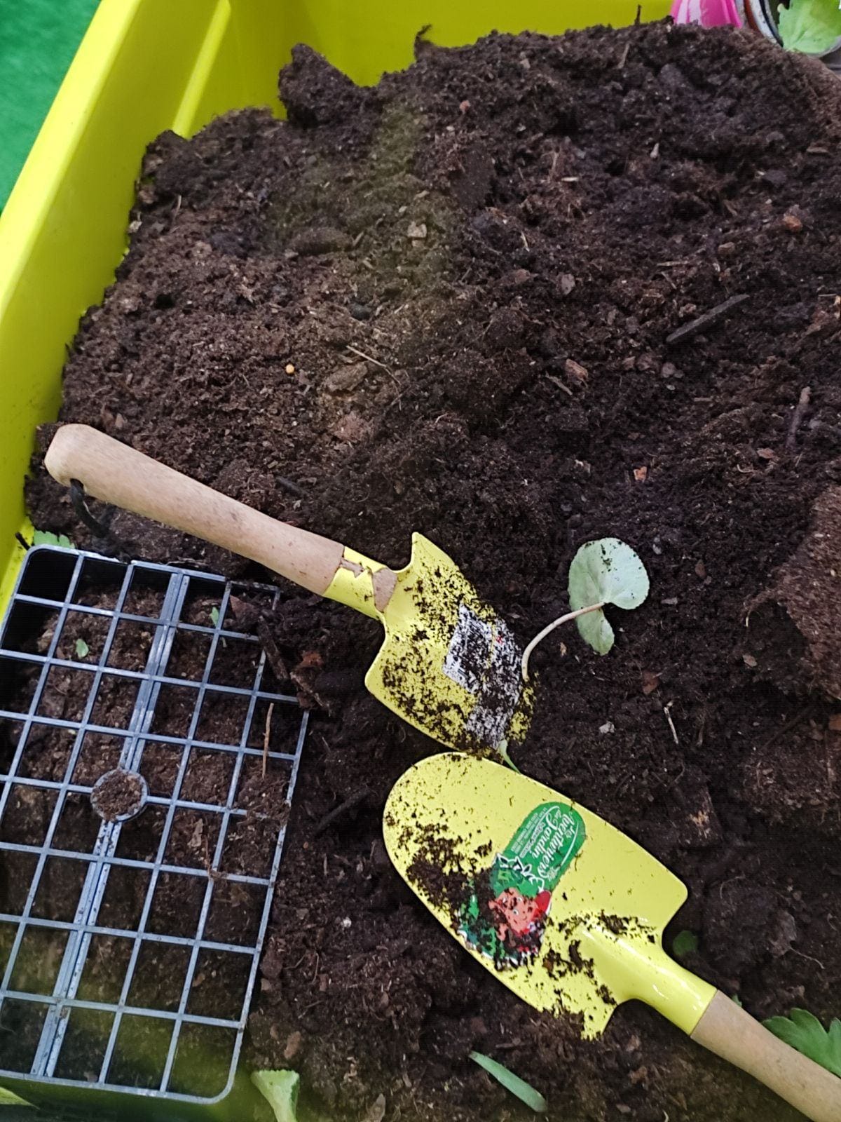 Atelier jardinage - terre et pelles